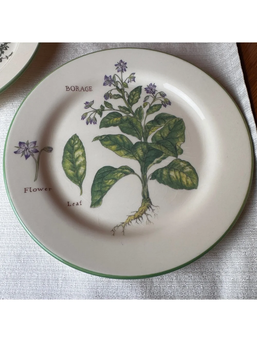 Vintage Williams Sonoma Culinary Herbs Plates Set Of 2 Thyme Borage 9 Inch